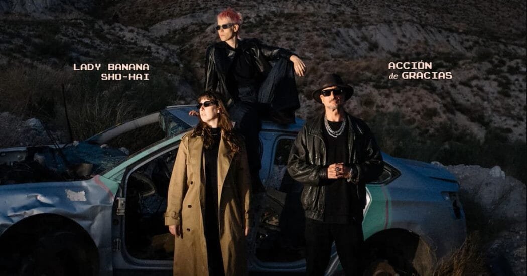 Lady Banana Acción de Gracias